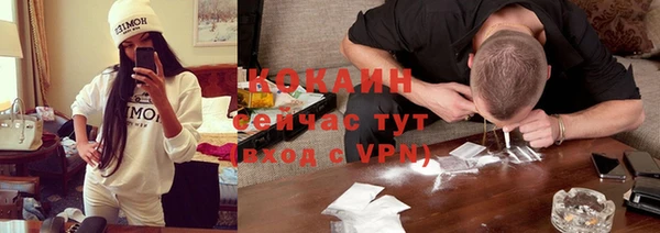 индика Белокуриха