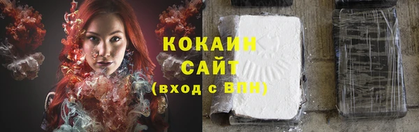 индика Белокуриха