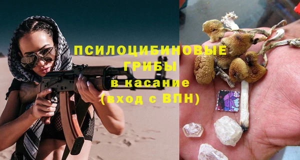 стафф Богданович