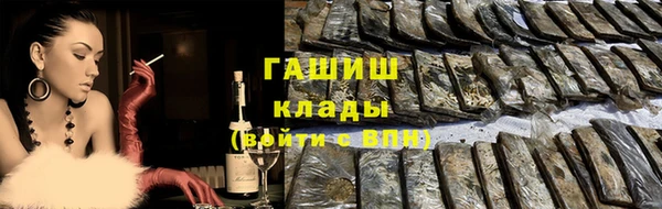 индика Белокуриха